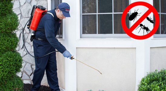 Vezirköprü Bit İlaçlama böcek ilaçlama ve haşere kontrolü — ilaclama-tr.com